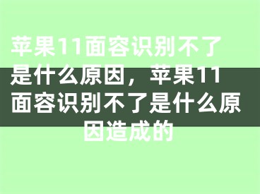 苹果11面容识别不了是什么原因，苹果11面容识别不了是什么原因造成的