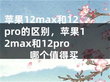 苹果12max和12pro的区别，苹果12max和12pro哪个值得买
