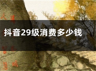 抖音29级消费多少钱