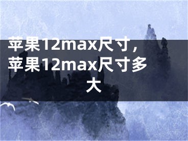 苹果12max尺寸，苹果12max尺寸多大