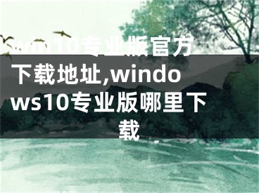 win10专业版官方下载地址,windows10专业版哪里下载