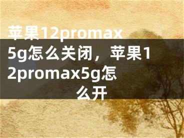 苹果12promax5g怎么关闭，苹果12promax5g怎么开