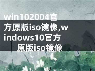 win102004官方原版iso镜像,windows10官方原版iso镜像