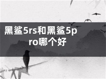 黑鲨5rs和黑鲨5pro哪个好