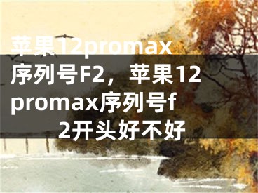 苹果12promax序列号F2，苹果12promax序列号f2开头好不好