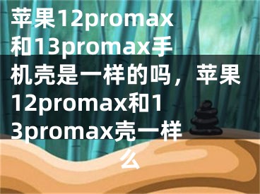 苹果12promax和13promax手机壳是一样的吗，苹果12promax和13promax壳一样么