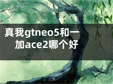 真我gtneo5和一加ace2哪个好