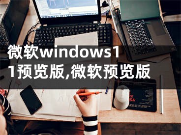 微软windows11预览版,微软预览版