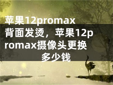 苹果12promax背面发烫，苹果12promax摄像头更换多少钱