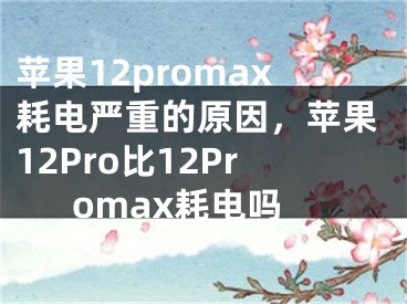 苹果12promax耗电严重的原因，苹果12Pro比12Promax耗电吗