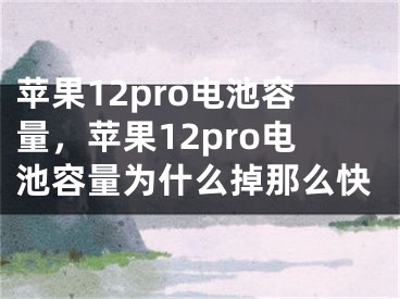 苹果12pro电池容量，苹果12pro电池容量为什么掉那么快