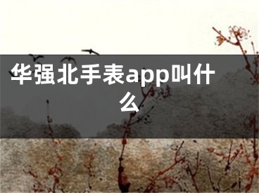 华强北手表app叫什么