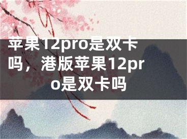 苹果12pro是双卡吗，港版苹果12pro是双卡吗