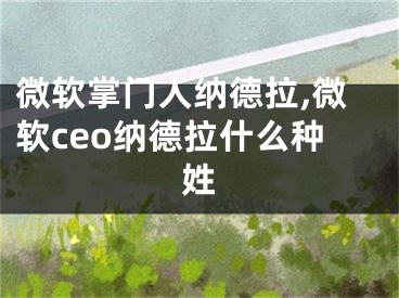 微软掌门人纳德拉,微软ceo纳德拉什么种姓