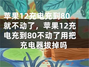 苹果12充电充到80就不动了，苹果12充电充到80不动了用把充电器拔掉吗