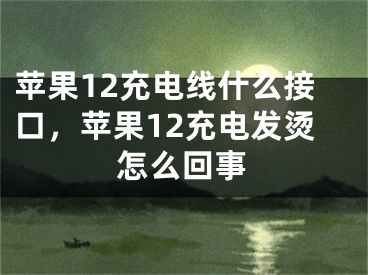 苹果12充电线什么接口，苹果12充电发烫怎么回事