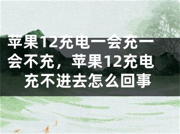 苹果12充电一会充一会不充，苹果12充电充不进去怎么回事