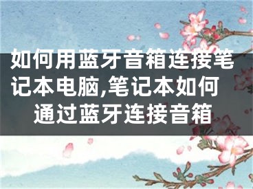 如何用蓝牙音箱连接笔记本电脑,笔记本如何通过蓝牙连接音箱