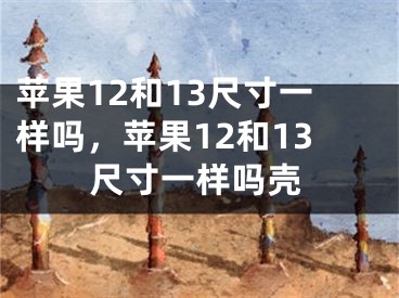 苹果12和13尺寸一样吗，苹果12和13尺寸一样吗壳