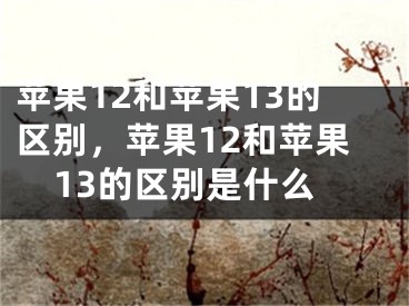 苹果12和苹果13的区别，苹果12和苹果13的区别是什么