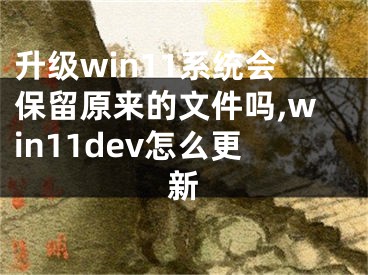 升级win11系统会保留原来的文件吗,win11dev怎么更新