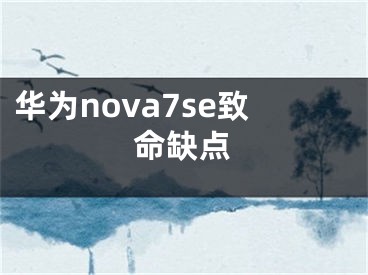 华为nova7se致命缺点