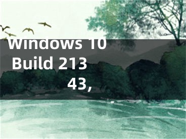 Windows 10 Build 21343,