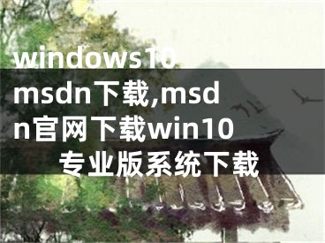 windows10 msdn下载,msdn官网下载win10专业版系统下载 