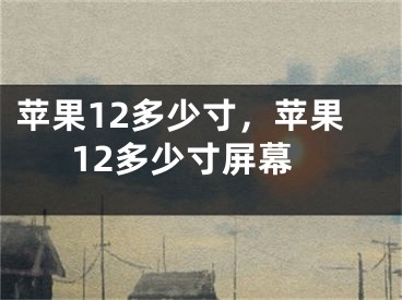 苹果12多少寸，苹果12多少寸屏幕