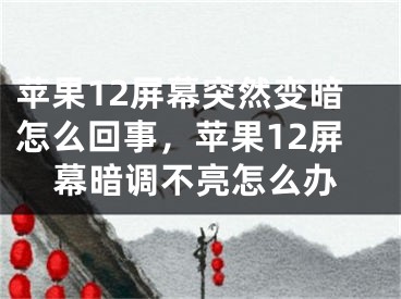 苹果12屏幕突然变暗怎么回事，苹果12屏幕暗调不亮怎么办