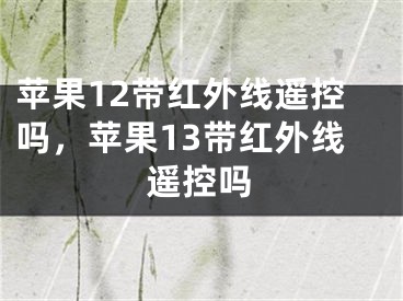 苹果12带红外线遥控吗，苹果13带红外线遥控吗