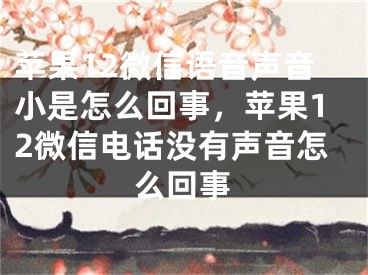 苹果12微信语音声音小是怎么回事，苹果12微信电话没有声音怎么回事