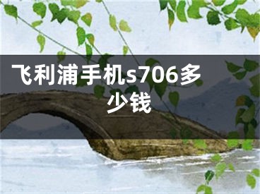 飞利浦手机s706多少钱