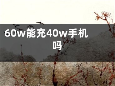 60w能充40w手机吗