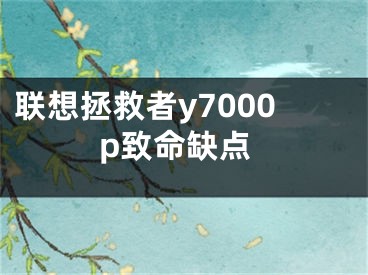 联想拯救者y7000p致命缺点