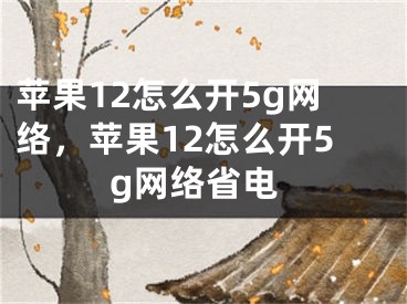 苹果12怎么开5g网络，苹果12怎么开5g网络省电