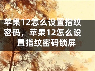 苹果12怎么设置指纹密码，苹果12怎么设置指纹密码锁屏