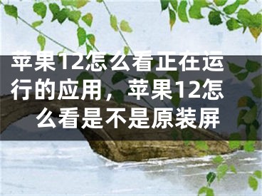 苹果12怎么看正在运行的应用，苹果12怎么看是不是原装屏