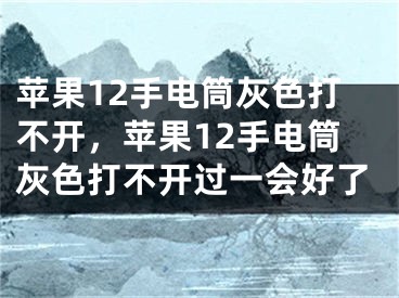 苹果12手电筒灰色打不开，苹果12手电筒灰色打不开过一会好了