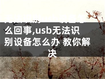 无法识别usb设备怎么回事,usb无法识别设备怎么办 教你解决