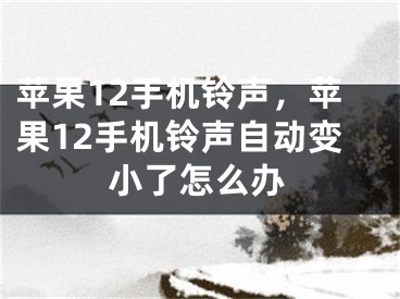 苹果12手机铃声，苹果12手机铃声自动变小了怎么办