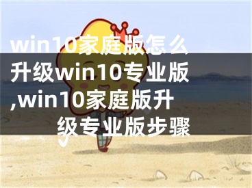 win10家庭版怎么升级win10专业版,win10家庭版升级专业版步骤