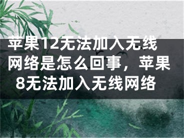 苹果12无法加入无线网络是怎么回事，苹果8无法加入无线网络