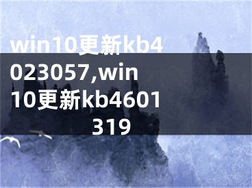 win10更新kb4023057,win10更新kb4601319