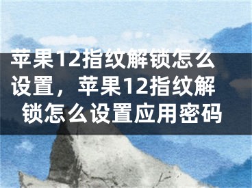 苹果12指纹解锁怎么设置，苹果12指纹解锁怎么设置应用密码