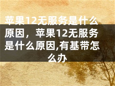 苹果12无服务是什么原因，苹果12无服务是什么原因,有基带怎么办