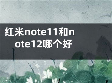 红米note11和note12哪个好