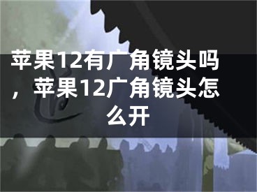 苹果12有广角镜头吗，苹果12广角镜头怎么开
