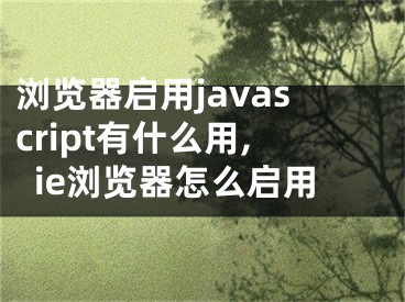 浏览器启用javascript有什么用,ie浏览器怎么启用