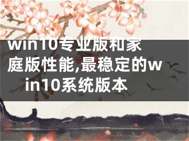 win10专业版和家庭版性能,最稳定的win10系统版本